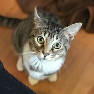 Meet your Posher, Jess